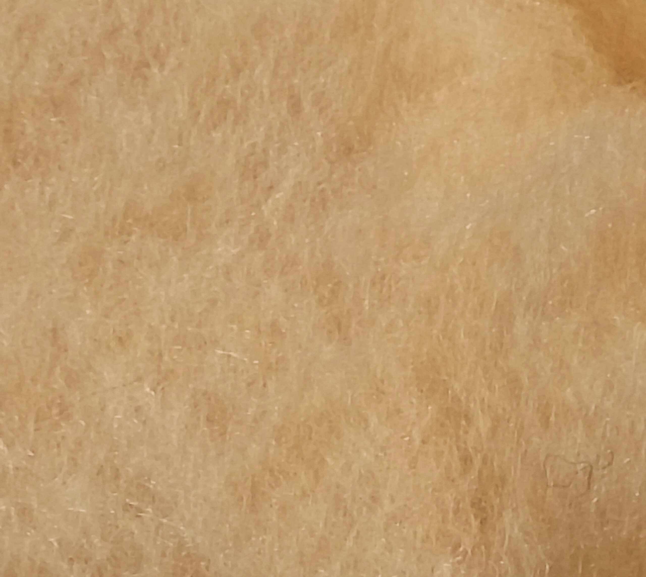 Μαλλί Merino για Needle Felting – 10 g (Μη Λαναρισμένο) - Image 20